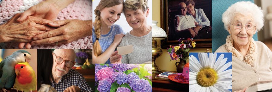 Montage of caring people and flowers