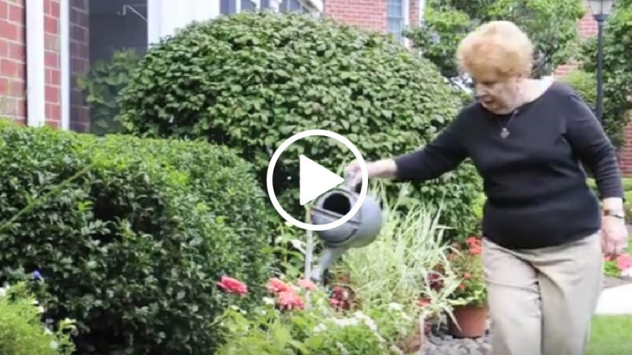 Tending the flower gardens at the Highlands